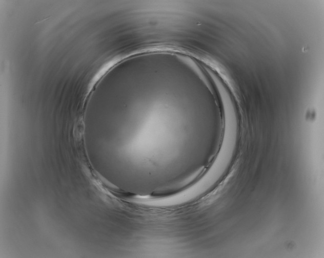 X0000091851097200709051141