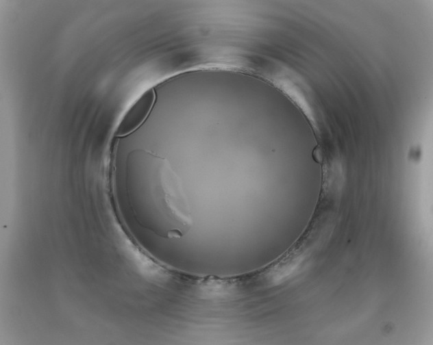 X0000091851099200709051141