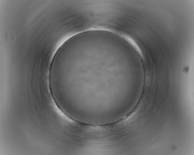 X0000091851100200709051141