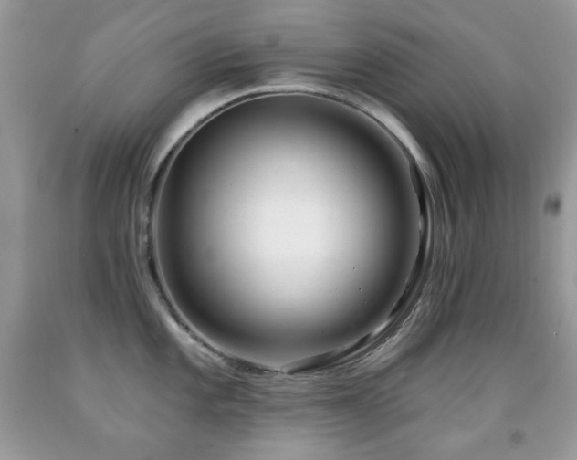 X0000091851101200709051141