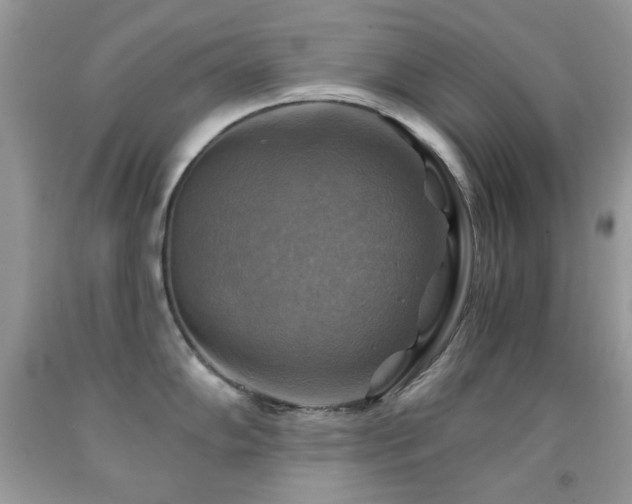 X0000091851102200709051141