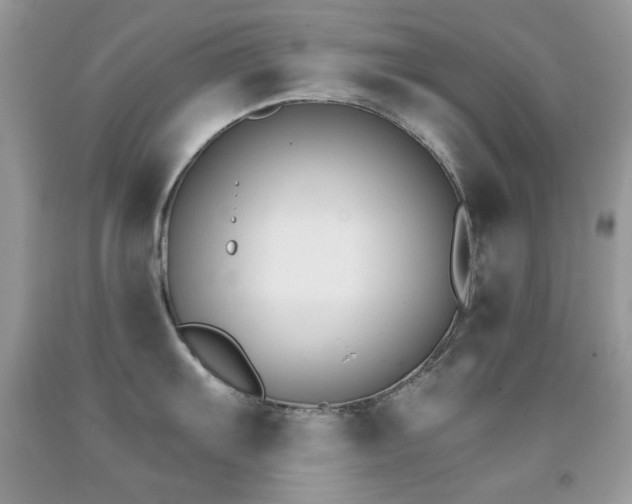 X0000091851103200709051141