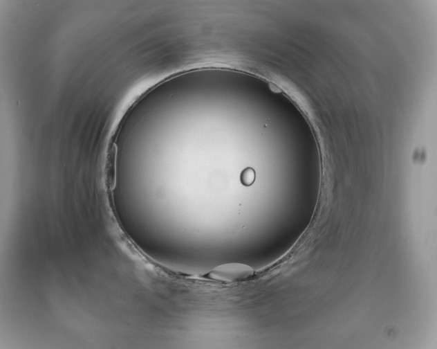 X0000091851104200709051141