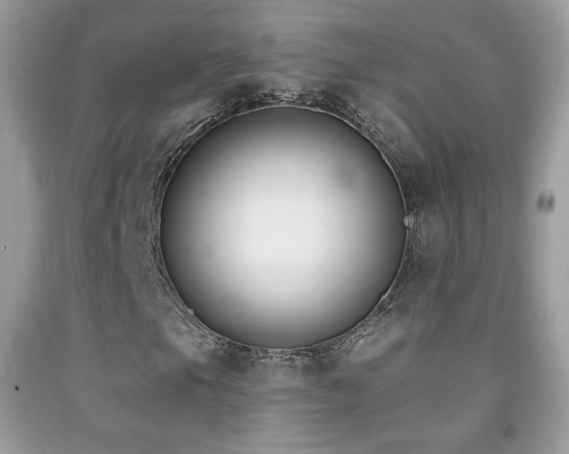 X0000091851105200709051141