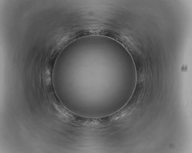 X0000091851106200709051141