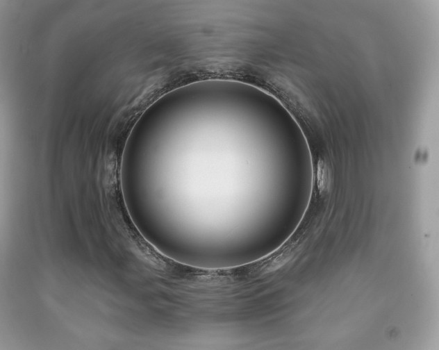 X0000091851107200709051141