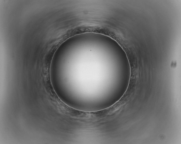 X0000091851109200709051141