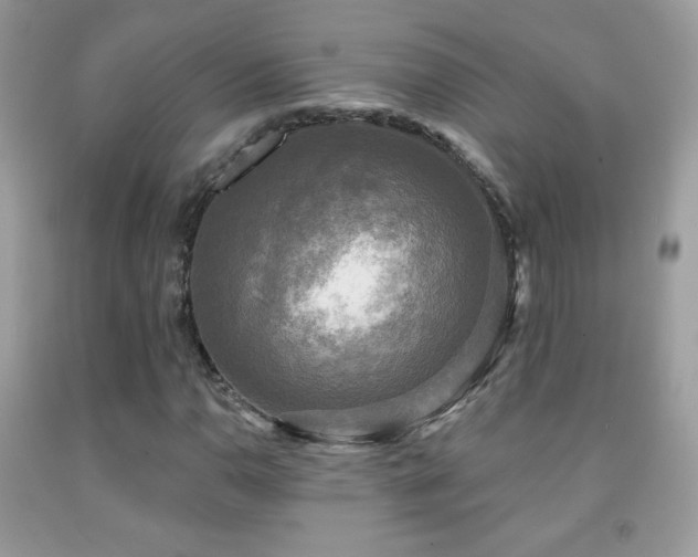 X0000091851110200709051141