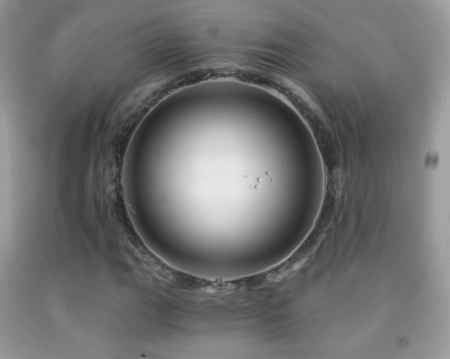 X0000091851111200709051141