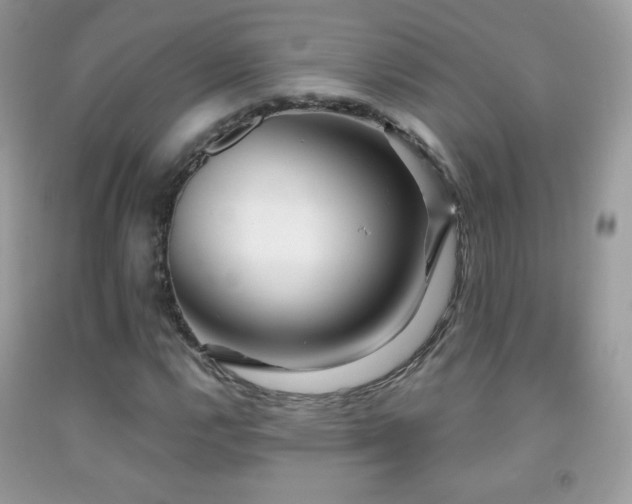 X0000091851112200709051141