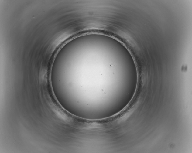 X0000091851113200709051141