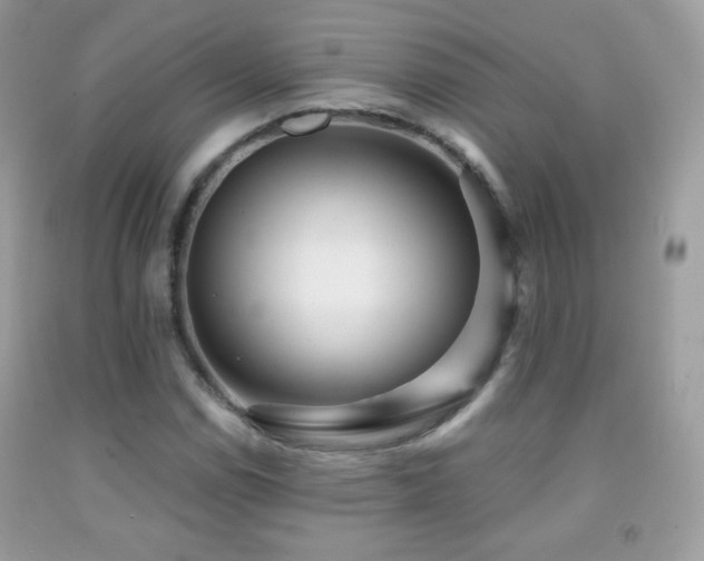 X0000091851114200709051141