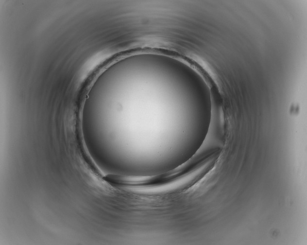 X0000091851115200709051141