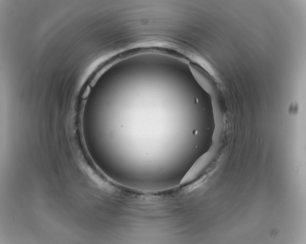 X0000091851116200709051141