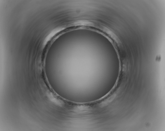 X0000091851117200709051141