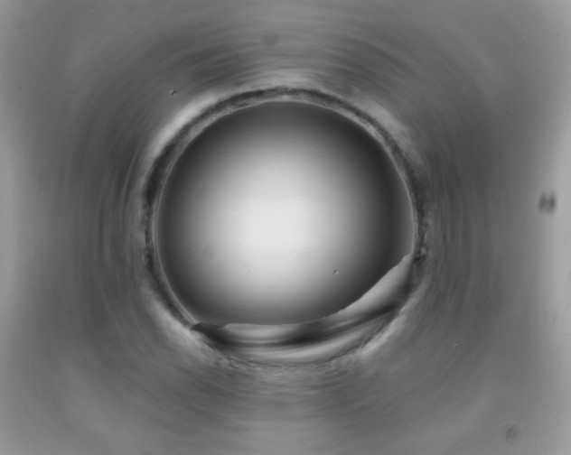 X0000091851118200709051141