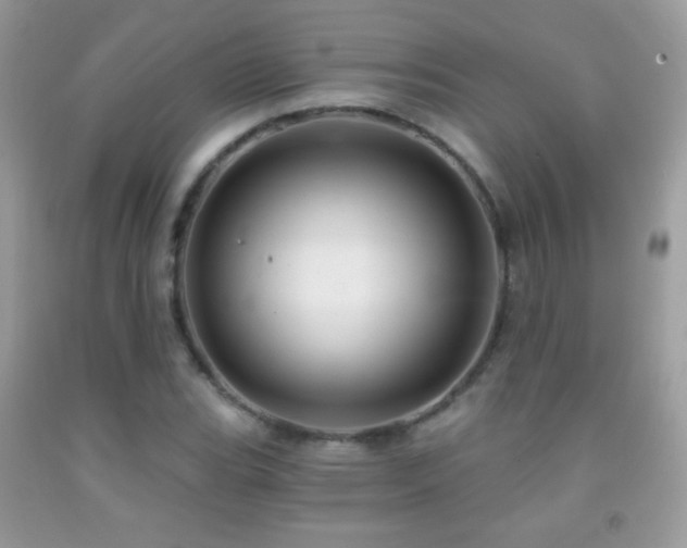 X0000091851119200709051141