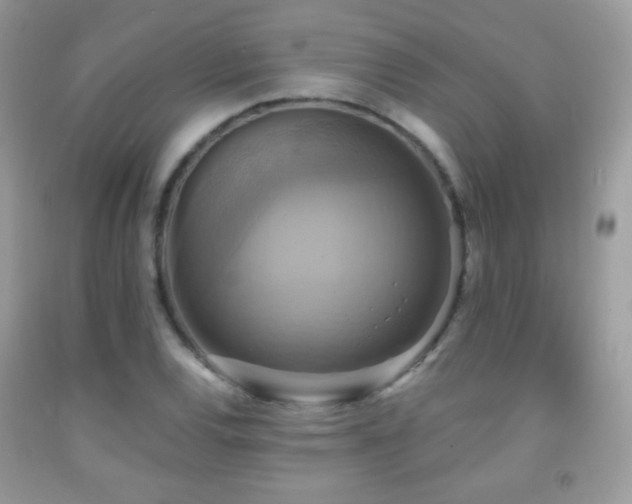 X0000091851120200709051141