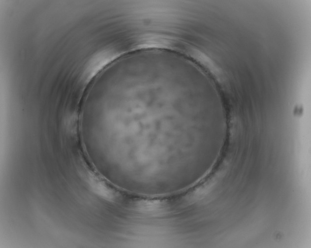 X0000091851121200709051141