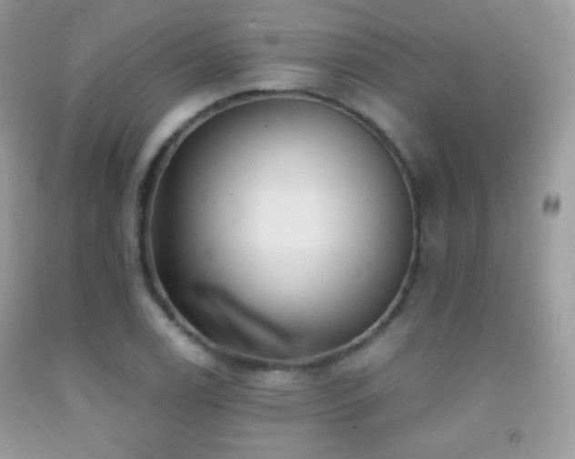 X0000091851122200709051141