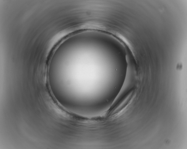 X0000091851123200709051141