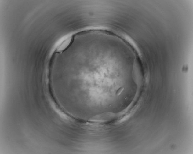 X0000091851124200709051141