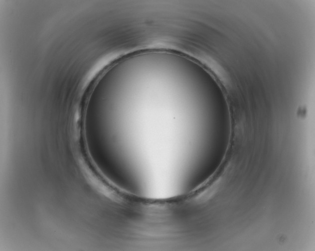 X0000091851126200709051141