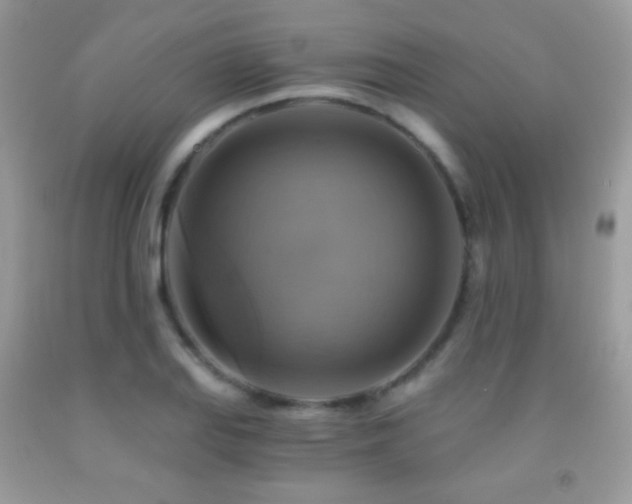 X0000091851127200709051141