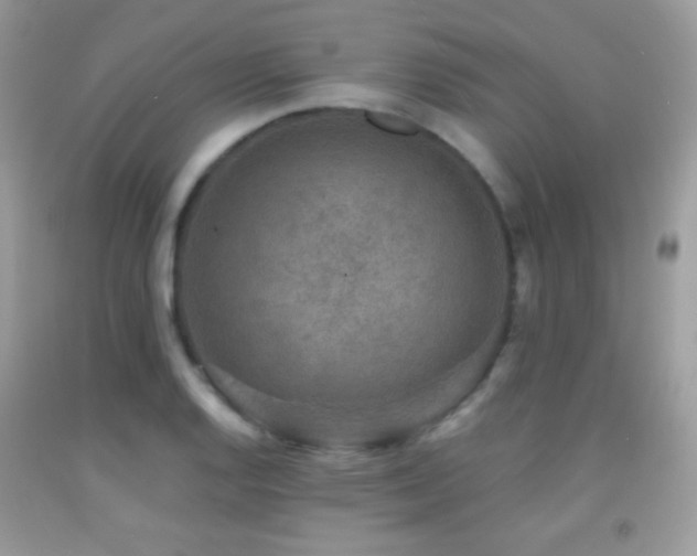 X0000091851128200709051141