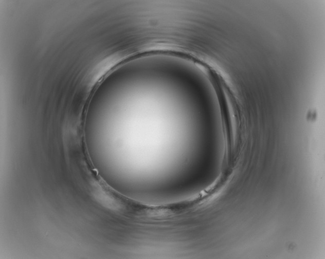 X0000091851129200709051141