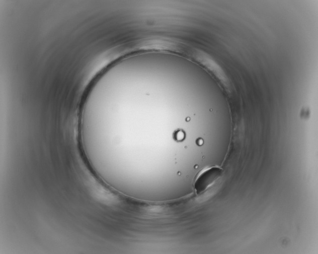 X0000091851130200709051141