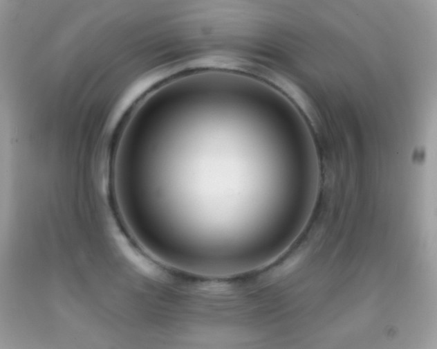 X0000091851131200709051141