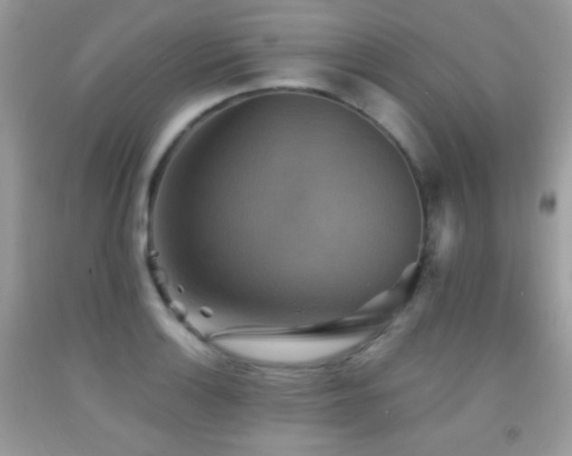 X0000091851132200709051141