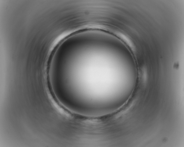 X0000091851133200709051141