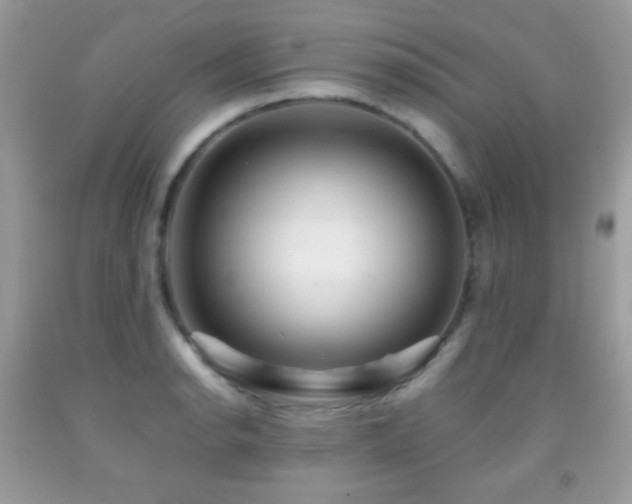 X0000091851134200709051141