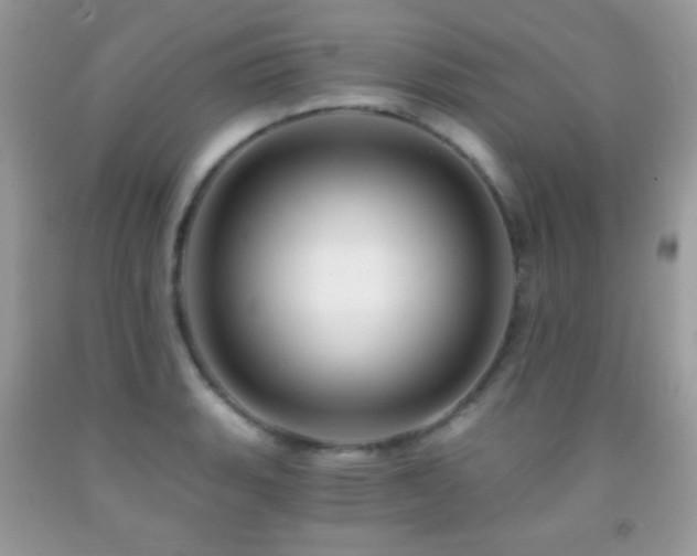 X0000091851135200709051141