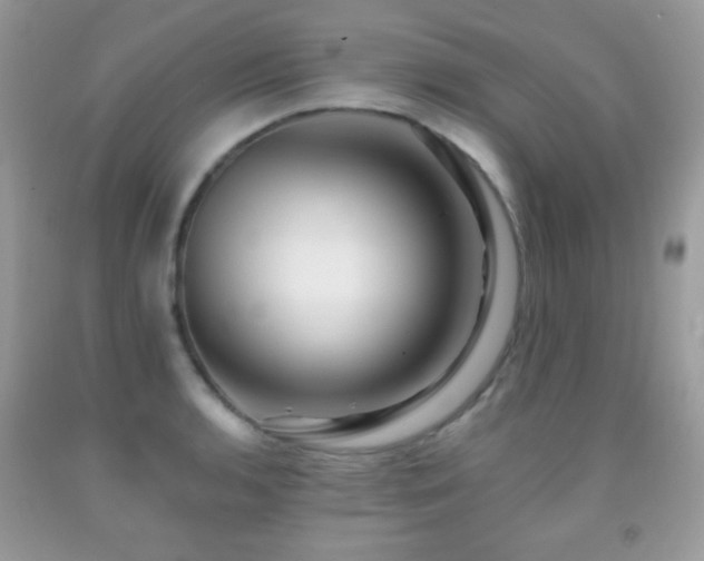 X0000091851136200709051141