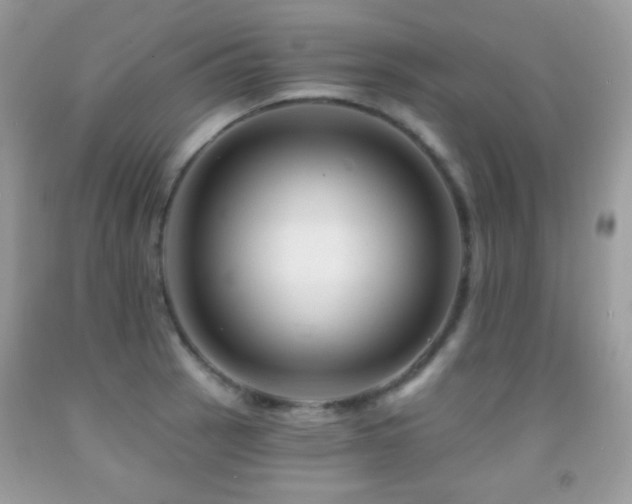 X0000091851137200709051141