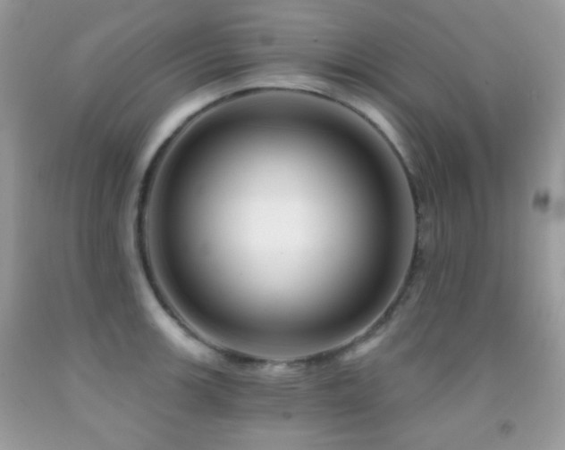 X0000091851139200709051141