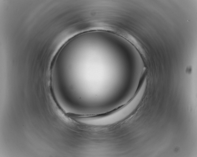 X0000091851140200709051141