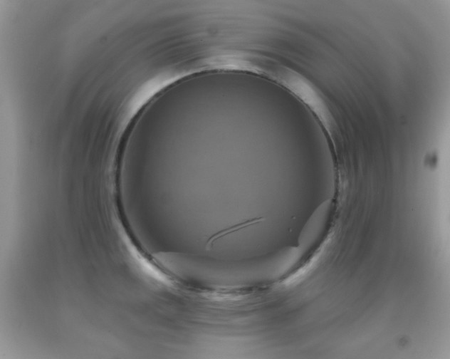 X0000091851141200709051141