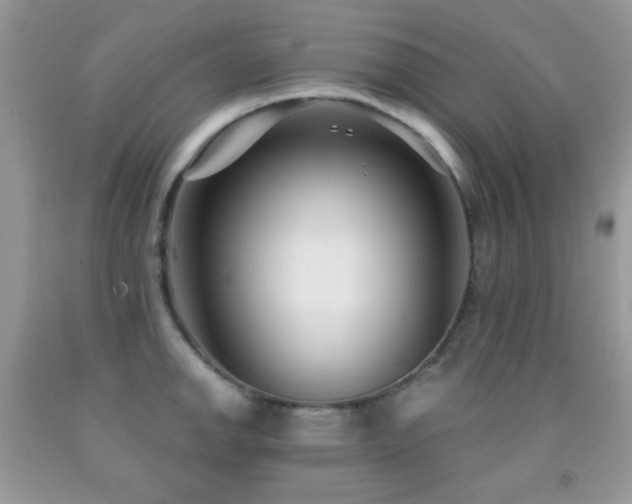 X0000091851142200709051141
