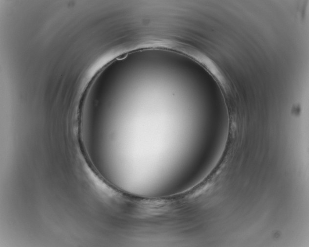 X0000091851143200709051141