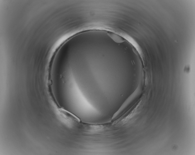 X0000091851144200709051141