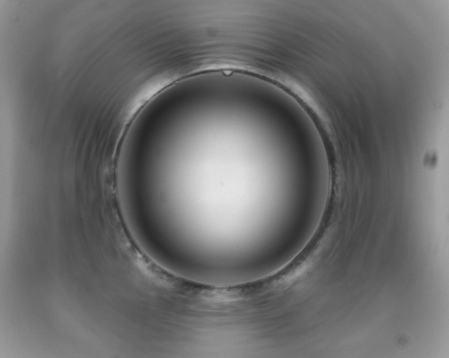 X0000091851145200709051141