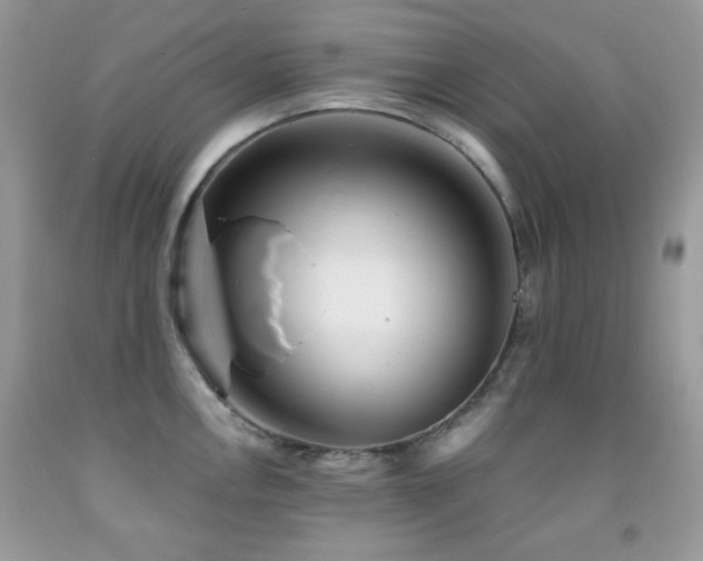 X0000091851146200709051141
