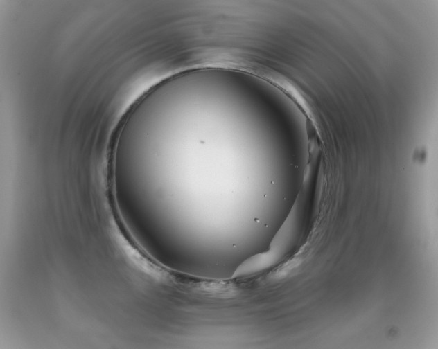 X0000091851147200709051141