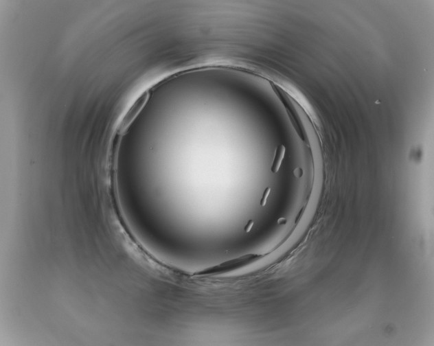 X0000091851148200709051141