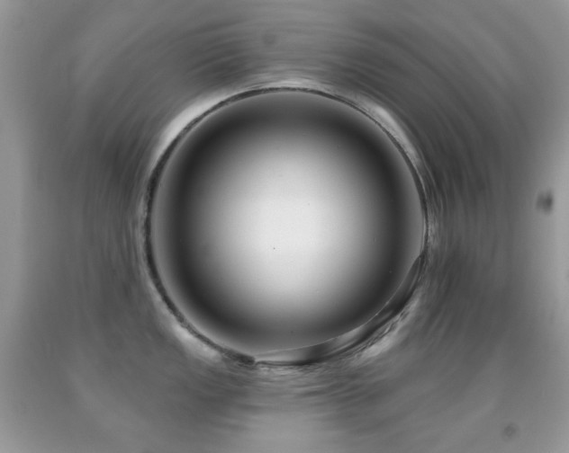 X0000091851149200709051141