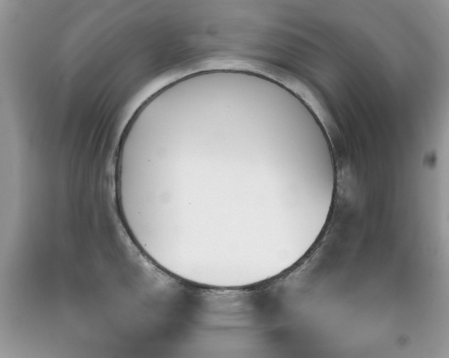 X0000091851150200709051141
